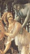 Sandro Botticelli Primavera France oil painting artist